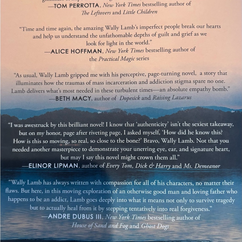 WALLY LAMB "The River Is Waiting" Hardcover - Picture 4 of 4